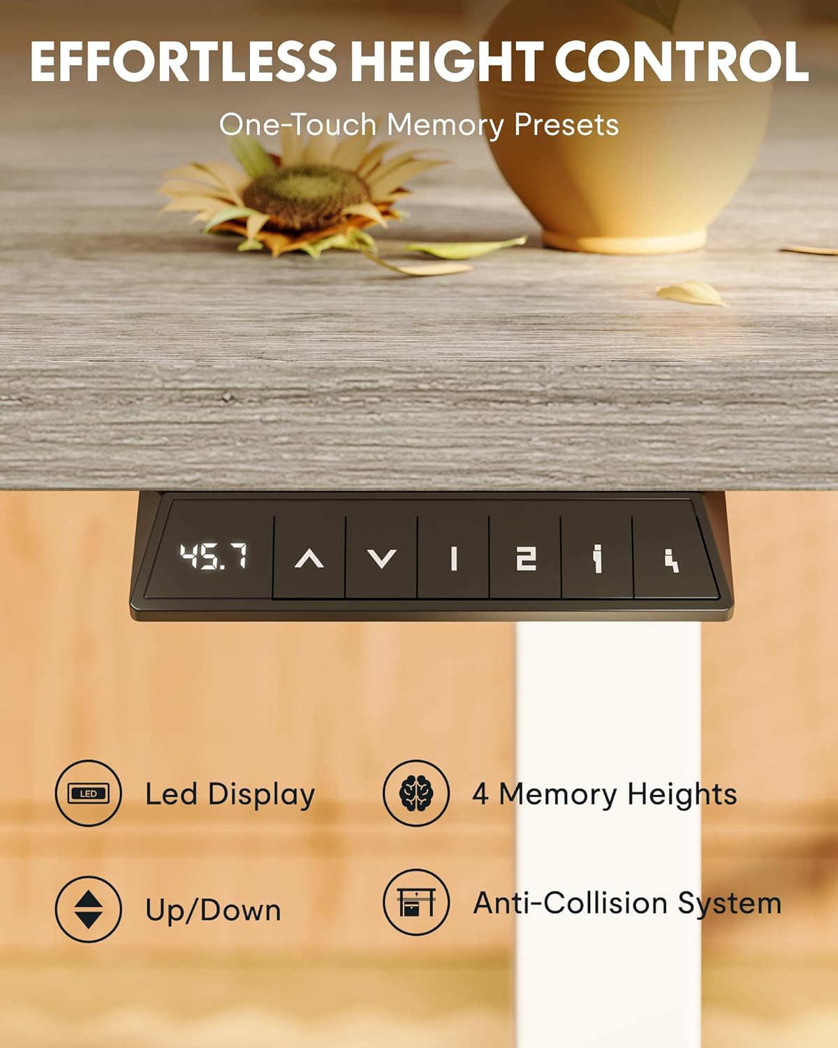 EN1 48"x24" One-Piece Standing Desk, White