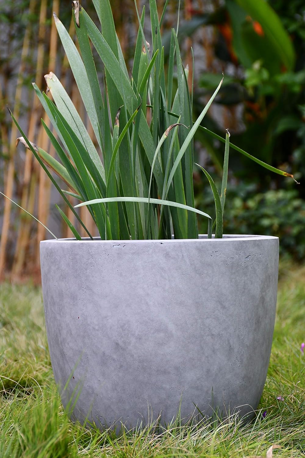 Kante 8.9" H x 10" W Small Concrete Planter, Compact Desktop Plant Pot with Drainage Hole & Rubber Plug – Lightweight Breathable Cement Container for Succulents, Cactus, Herbs, Indoor Outdoor, Gift