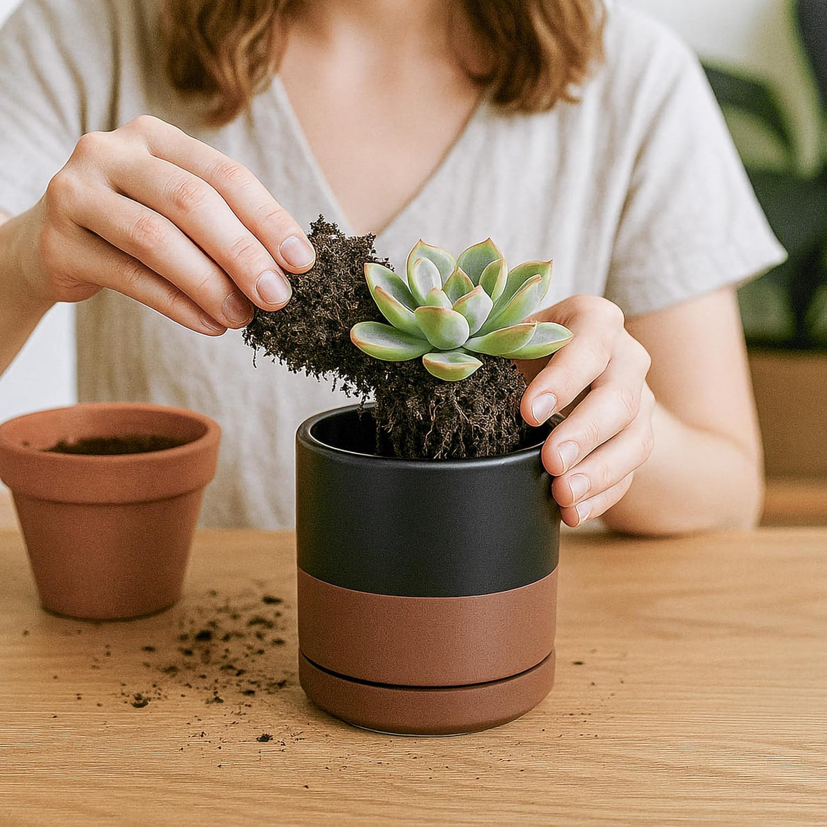 D'vine Dev 4.7 Inch Ceramic Planter Pot with Drainage Hole and Saucer, Indoor Cylinder Round Planter Pot, Teal, 94-O-B-9