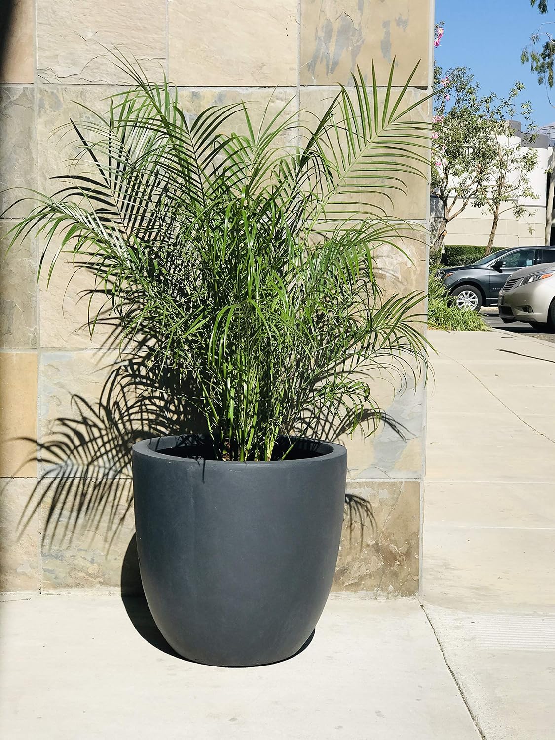 Kante 8.9" H x 10" W Small Concrete Planter, Compact Desktop Plant Pot with Drainage Hole & Rubber Plug – Lightweight Breathable Cement Container for Succulents, Cactus, Herbs, Indoor Outdoor, Gift