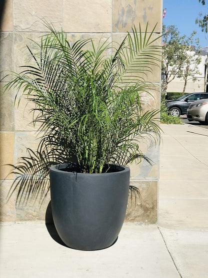 Kante 8.9" H x 10" W Small Concrete Planter, Compact Desktop Plant Pot with Drainage Hole & Rubber Plug – Lightweight Breathable Cement Container for Succulents, Cactus, Herbs, Indoor Outdoor, Gift