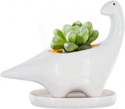 White Dinosaur Ceramic Succulent Planter Flower Plant Pot Window Box with Saucer Cartoon Animal Decor, 5 Inch, Indoor Outdoor
