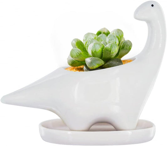 White Dinosaur Ceramic Succulent Planter Flower Plant Pot Window Box with Saucer Cartoon Animal Decor, 5 Inch, Indoor Outdoor