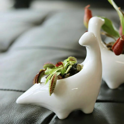 White Dinosaur Ceramic Succulent Planter Flower Plant Pot Window Box with Saucer Cartoon Animal Decor, 5 Inch, Indoor Outdoor