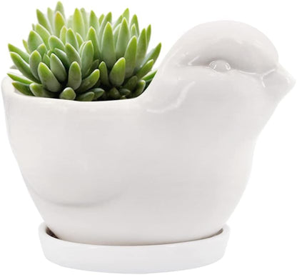 White Dinosaur Ceramic Succulent Planter Flower Plant Pot Window Box with Saucer Cartoon Animal Decor, 5 Inch, Indoor Outdoor