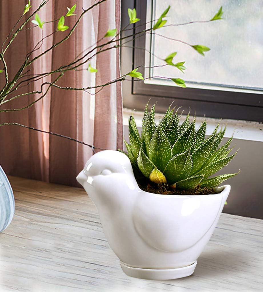 White Dinosaur Ceramic Succulent Planter Flower Plant Pot Window Box with Saucer Cartoon Animal Decor, 5 Inch, Indoor Outdoor