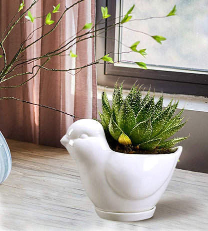 White Dinosaur Ceramic Succulent Planter Flower Plant Pot Window Box with Saucer Cartoon Animal Decor, 5 Inch, Indoor Outdoor