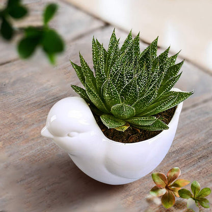 White Dinosaur Ceramic Succulent Planter Flower Plant Pot Window Box with Saucer Cartoon Animal Decor, 5 Inch, Indoor Outdoor