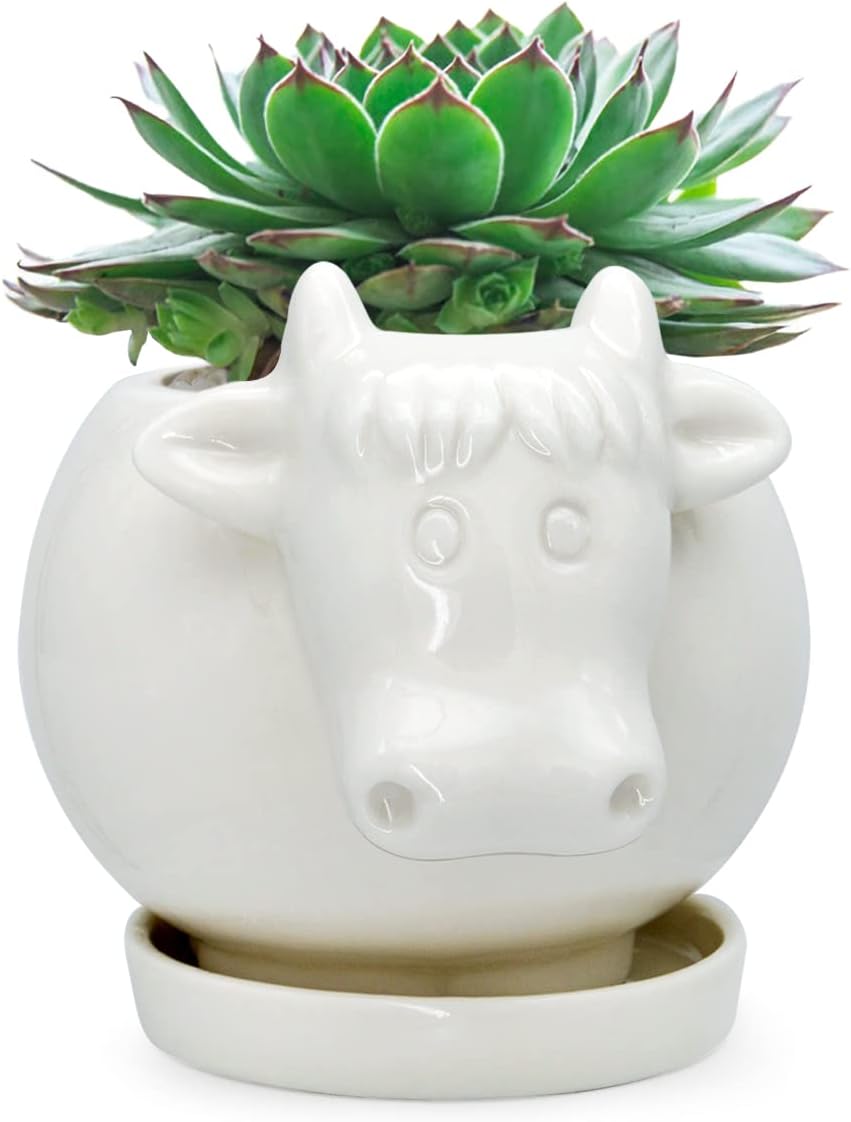 White Dinosaur Ceramic Succulent Planter Flower Plant Pot Window Box with Saucer Cartoon Animal Decor, 5 Inch, Indoor Outdoor