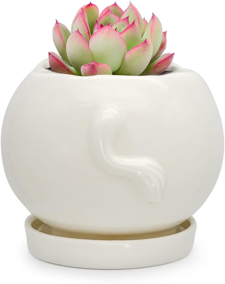 White Dinosaur Ceramic Succulent Planter Flower Plant Pot Window Box with Saucer Cartoon Animal Decor, 5 Inch, Indoor Outdoor