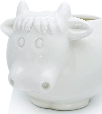 White Dinosaur Ceramic Succulent Planter Flower Plant Pot Window Box with Saucer Cartoon Animal Decor, 5 Inch, Indoor Outdoor