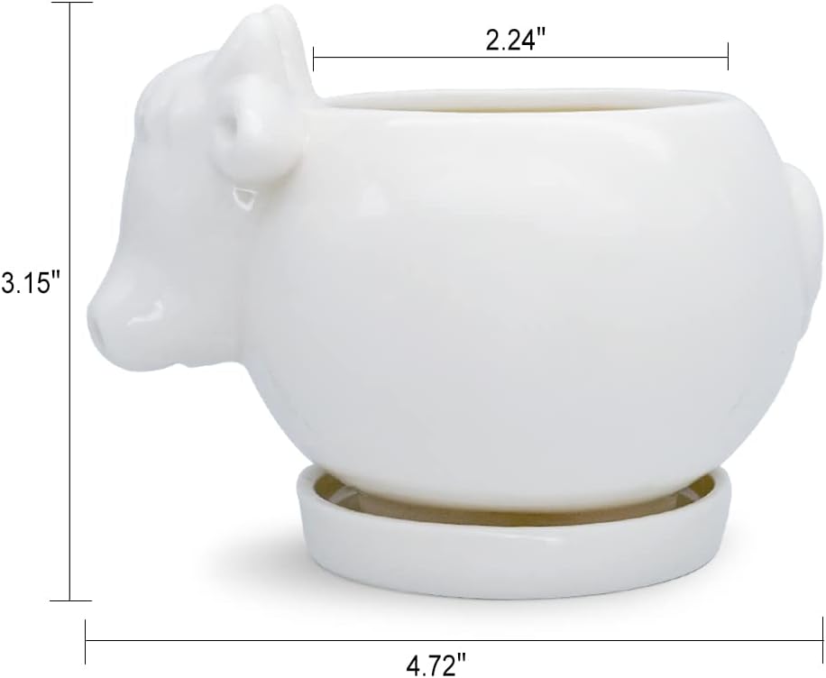 White Dinosaur Ceramic Succulent Planter Flower Plant Pot Window Box with Saucer Cartoon Animal Decor, 5 Inch, Indoor Outdoor