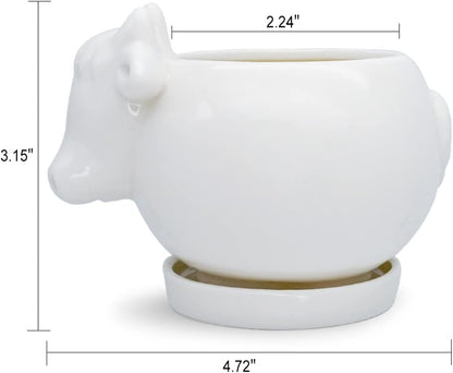 White Dinosaur Ceramic Succulent Planter Flower Plant Pot Window Box with Saucer Cartoon Animal Decor, 5 Inch, Indoor Outdoor