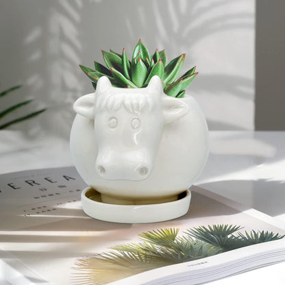 White Dinosaur Ceramic Succulent Planter Flower Plant Pot Window Box with Saucer Cartoon Animal Decor, 5 Inch, Indoor Outdoor