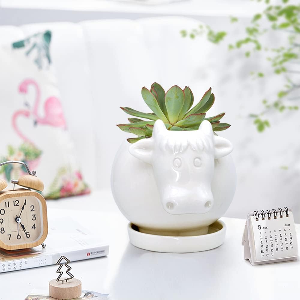 White Dinosaur Ceramic Succulent Planter Flower Plant Pot Window Box with Saucer Cartoon Animal Decor, 5 Inch, Indoor Outdoor