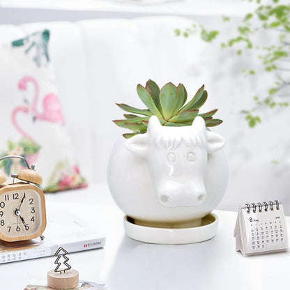 White Dinosaur Ceramic Succulent Planter Flower Plant Pot Window Box with Saucer Cartoon Animal Decor, 5 Inch, Indoor Outdoor