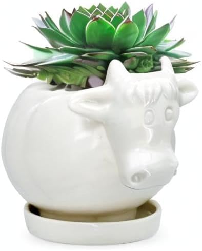 White Dinosaur Ceramic Succulent Planter Flower Plant Pot Window Box with Saucer Cartoon Animal Decor, 5 Inch, Indoor Outdoor