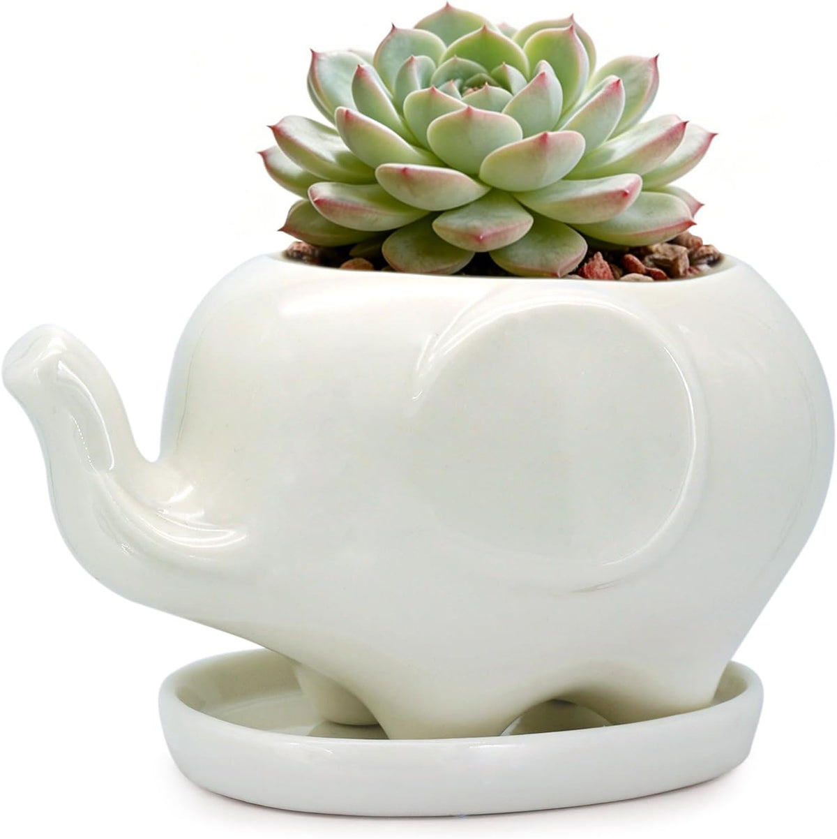 White Dinosaur Ceramic Succulent Planter Flower Plant Pot Window Box with Saucer Cartoon Animal Decor, 5 Inch, Indoor Outdoor