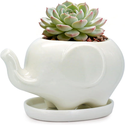 White Dinosaur Ceramic Succulent Planter Flower Plant Pot Window Box with Saucer Cartoon Animal Decor, 5 Inch, Indoor Outdoor