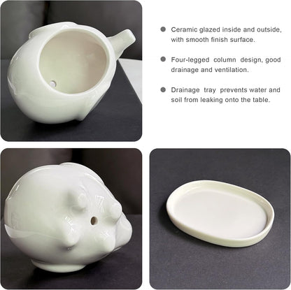 White Dinosaur Ceramic Succulent Planter Flower Plant Pot Window Box with Saucer Cartoon Animal Decor, 5 Inch, Indoor Outdoor