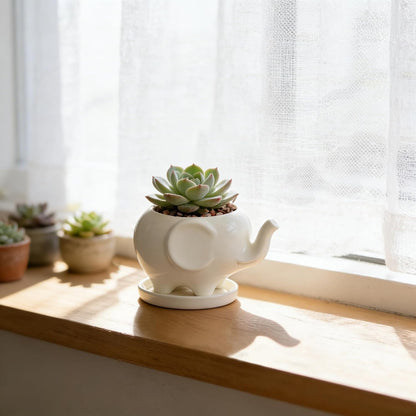 White Dinosaur Ceramic Succulent Planter Flower Plant Pot Window Box with Saucer Cartoon Animal Decor, 5 Inch, Indoor Outdoor