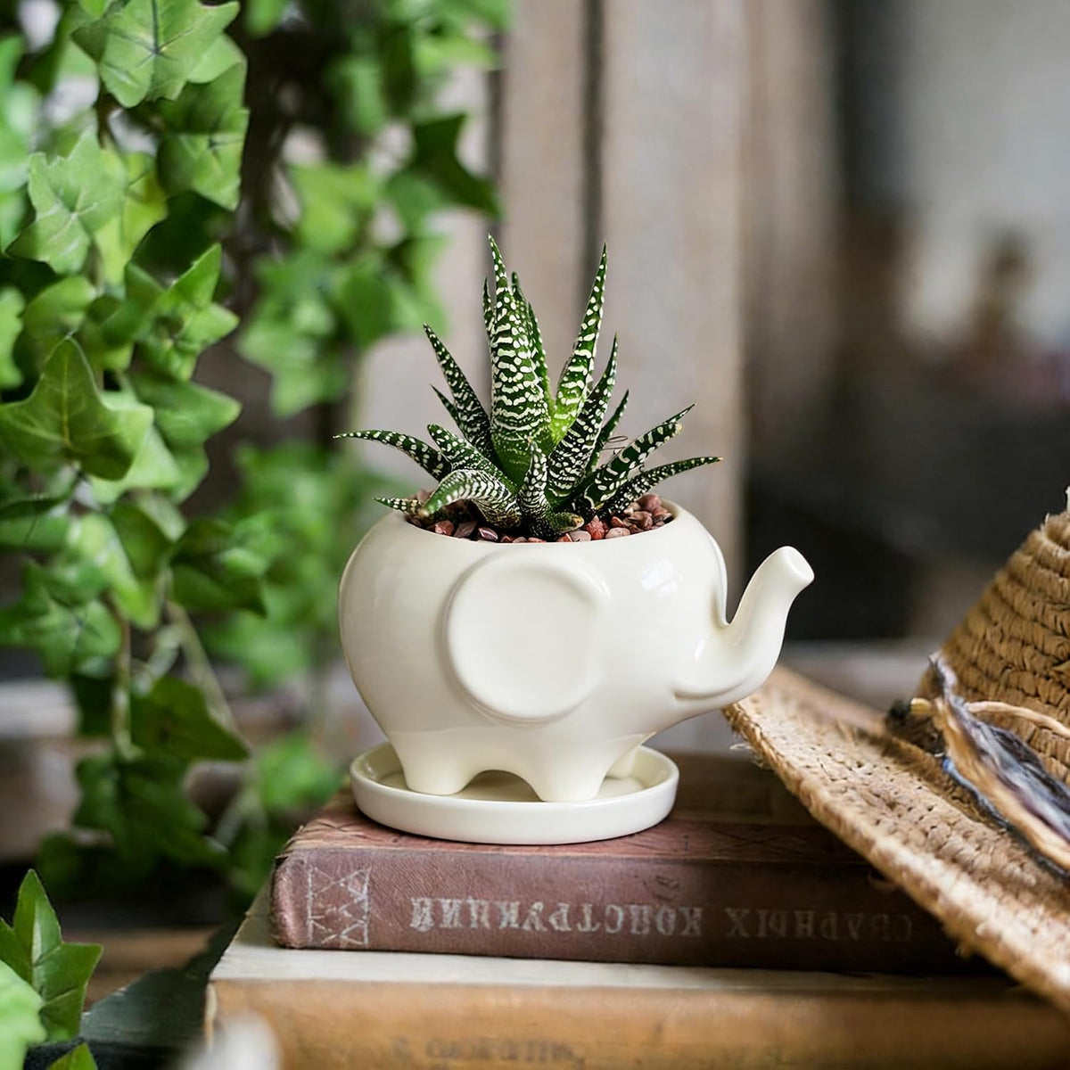 White Dinosaur Ceramic Succulent Planter Flower Plant Pot Window Box with Saucer Cartoon Animal Decor, 5 Inch, Indoor Outdoor