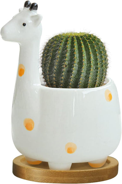White Dinosaur Ceramic Succulent Planter Flower Plant Pot Window Box with Saucer Cartoon Animal Decor, 5 Inch, Indoor Outdoor