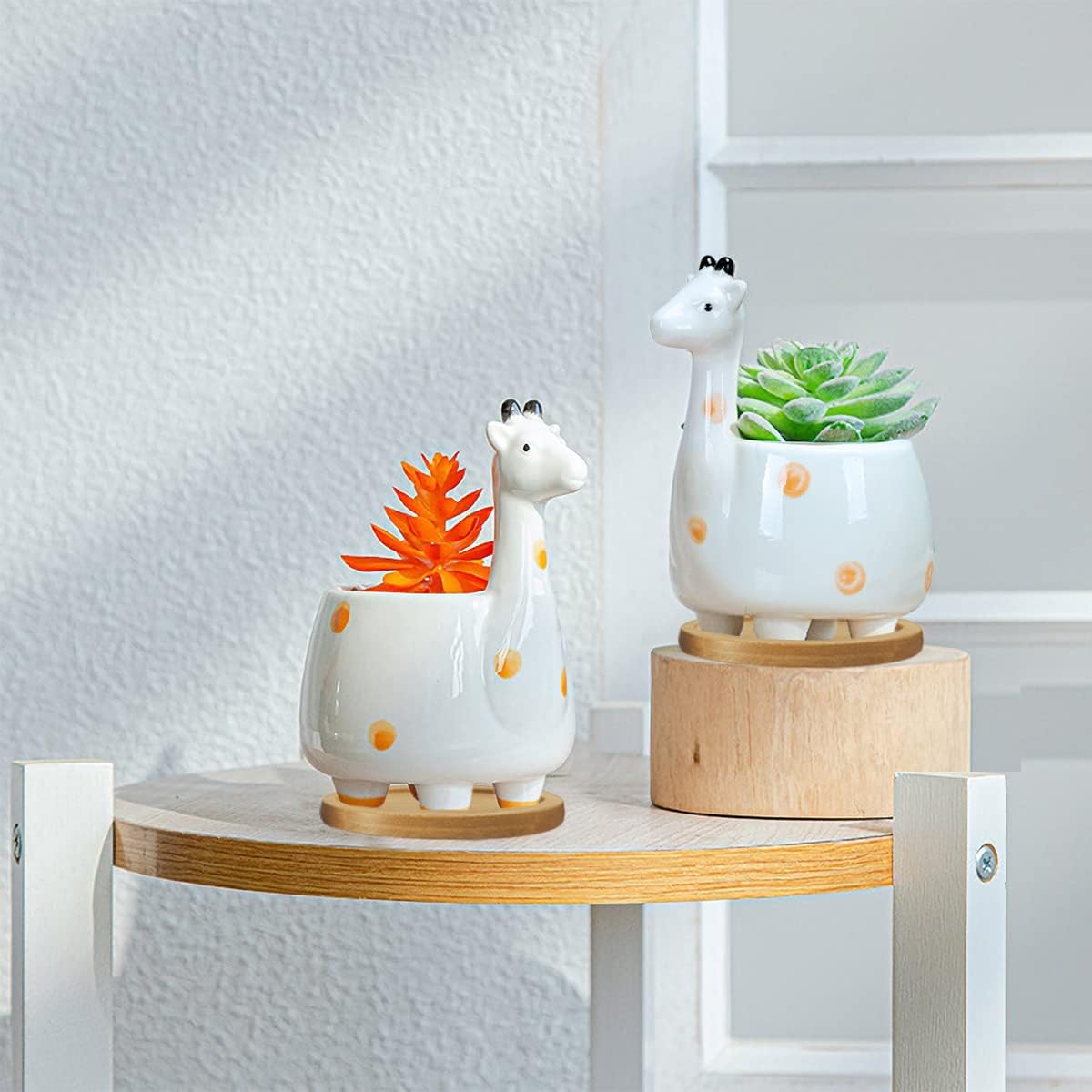 White Dinosaur Ceramic Succulent Planter Flower Plant Pot Window Box with Saucer Cartoon Animal Decor, 5 Inch, Indoor Outdoor