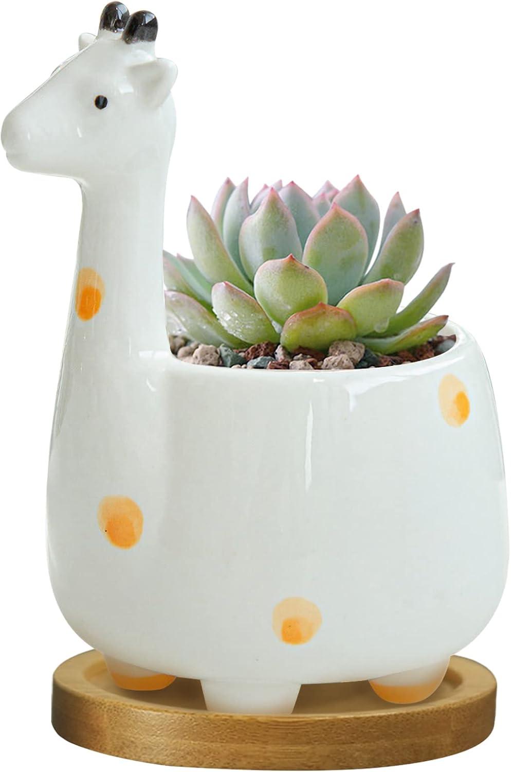 White Dinosaur Ceramic Succulent Planter Flower Plant Pot Window Box with Saucer Cartoon Animal Decor, 5 Inch, Indoor Outdoor