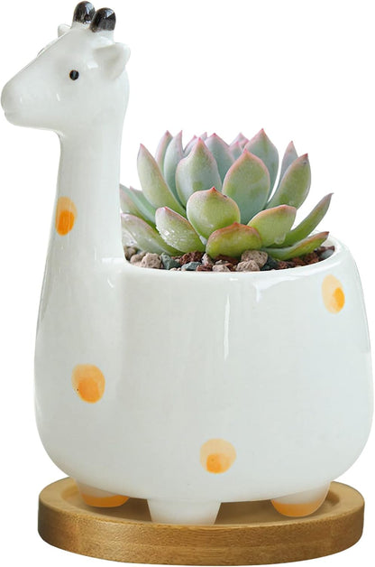White Dinosaur Ceramic Succulent Planter Flower Plant Pot Window Box with Saucer Cartoon Animal Decor, 5 Inch, Indoor Outdoor