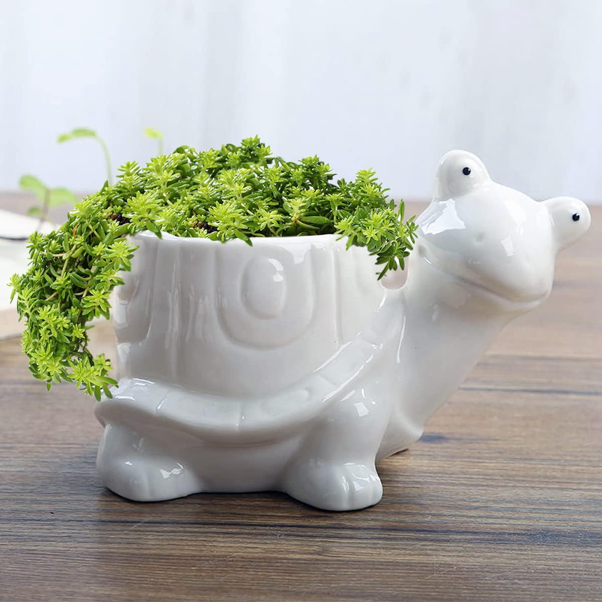 White Dinosaur Ceramic Succulent Planter Flower Plant Pot Window Box with Saucer Cartoon Animal Decor, 5 Inch, Indoor Outdoor