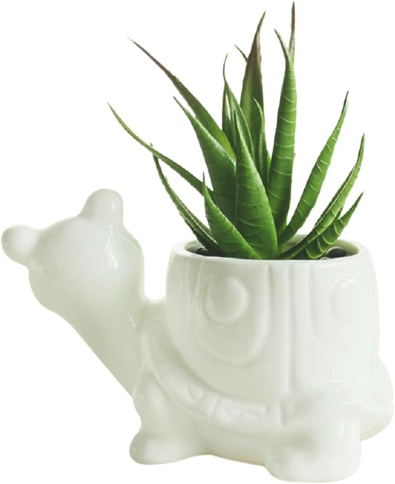 White Dinosaur Ceramic Succulent Planter Flower Plant Pot Window Box with Saucer Cartoon Animal Decor, 5 Inch, Indoor Outdoor