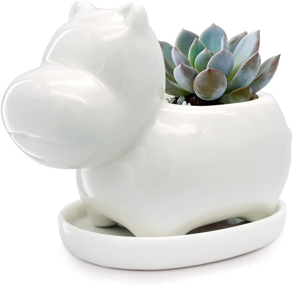 White Dinosaur Ceramic Succulent Planter Flower Plant Pot Window Box with Saucer Cartoon Animal Decor, 5 Inch, Indoor Outdoor
