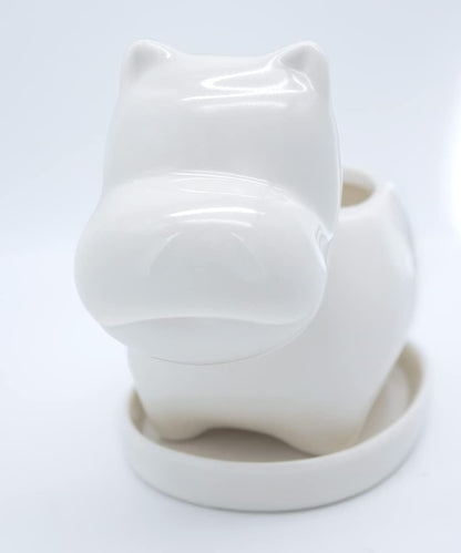 White Dinosaur Ceramic Succulent Planter Flower Plant Pot Window Box with Saucer Cartoon Animal Decor, 5 Inch, Indoor Outdoor