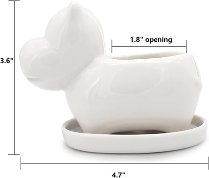 White Dinosaur Ceramic Succulent Planter Flower Plant Pot Window Box with Saucer Cartoon Animal Decor, 5 Inch, Indoor Outdoor
