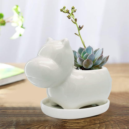 White Dinosaur Ceramic Succulent Planter Flower Plant Pot Window Box with Saucer Cartoon Animal Decor, 5 Inch, Indoor Outdoor