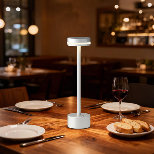 Rechargeable Cordless Table Lamp Silver Touch Control Dimmable