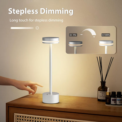 Rechargeable Cordless Table Lamp Silver Touch Control Dimmable