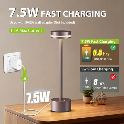 Rechargeable Cordless Table Lamp Silver Touch Control Dimmable