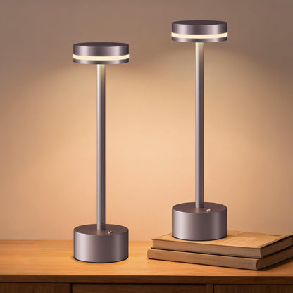 Rechargeable Cordless Table Lamp Silver Touch Control Dimmable