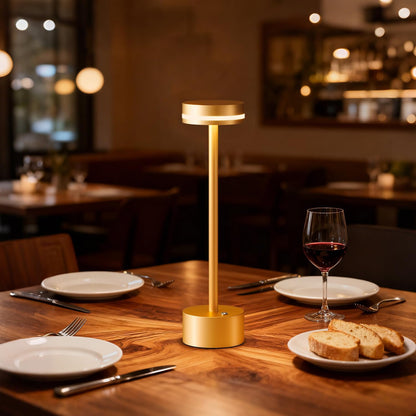 Rechargeable Cordless Table Lamp Silver Touch Control Dimmable
