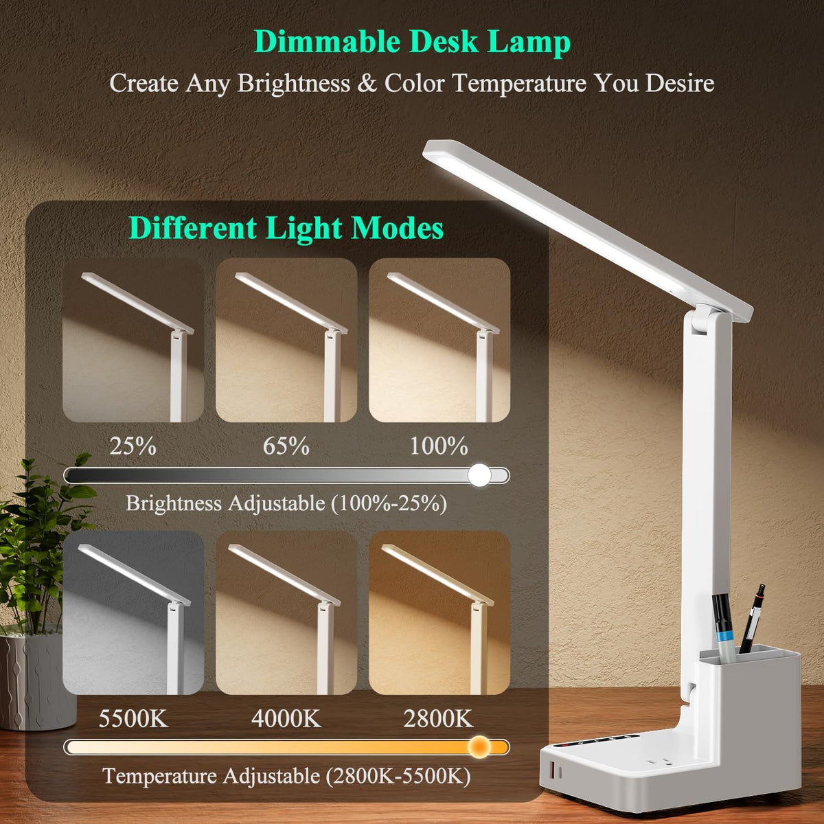 LED Desk Lamp USB A/C AC Pen Holder Dorm Home Office Desk Light Black