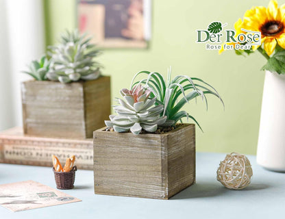 2 Pack Fake Succulents Plants in Wood Pots for Farmhouse Decor