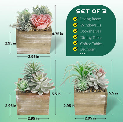 2 Pack Fake Succulents Plants in Wood Pots for Farmhouse Decor