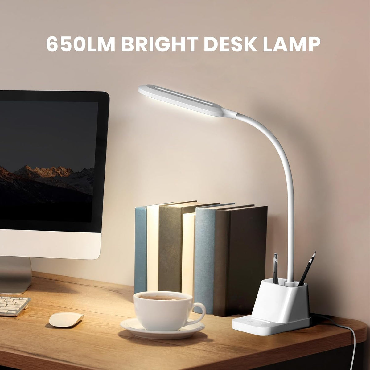AXX LED Desk Lamp with USB Charging Port for College Dorm Room