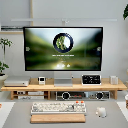 Bamboo Dual Monitor Stand Riser, 2-Tier Desk Shelf with Storage