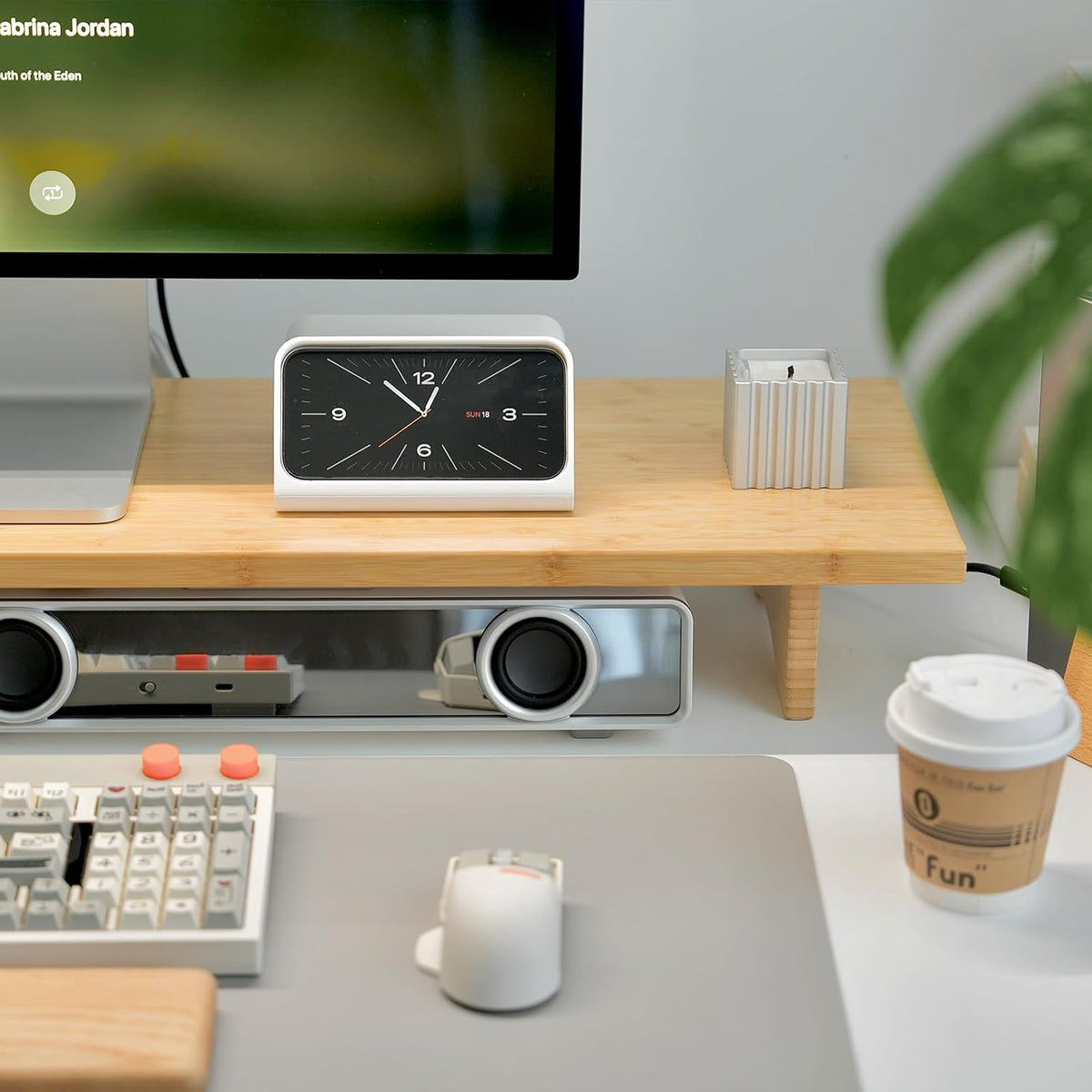 Bamboo Dual Monitor Stand Riser, 2-Tier Desk Shelf with Storage