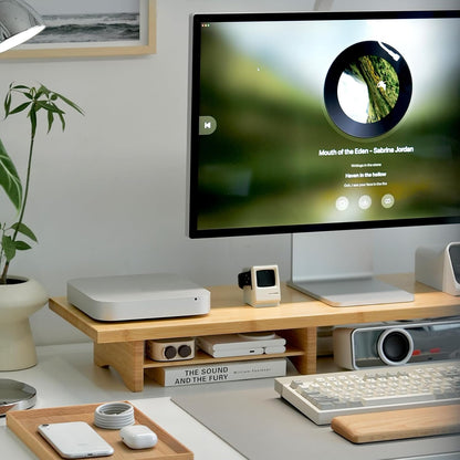 Bamboo Dual Monitor Stand Riser, 2-Tier Desk Shelf with Storage