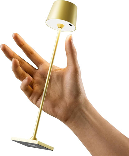 Compact Cordless Table Lamp, Rechargeable LED Night Light, Dual Light Source (RGB Top & Warm Bottom), Touch Control & Timer, Metal Lamp for Bedroom & Kids Room (Black 1pack)