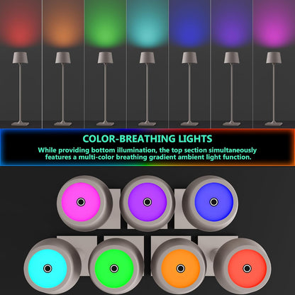 Compact Cordless Table Lamp, Rechargeable LED Night Light, Dual Light Source (RGB Top & Warm Bottom), Touch Control & Timer, Metal Lamp for Bedroom & Kids Room (Black 1pack)